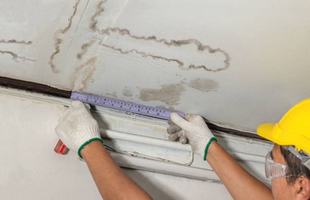 Reliable Sewage Cleanup contractor in George, WA by Water Damage Irwin